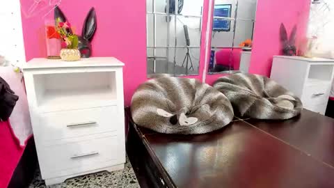 Vannellope online show from April 2026 12:27:02 PM