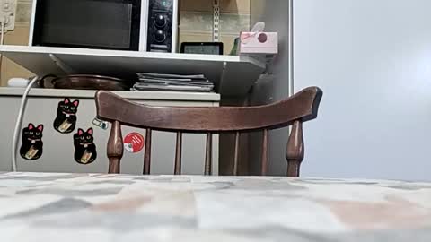 robke1966 online show from March 2026 06:51:01 AM