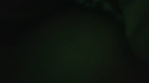 Snapshot of rocce4147 chatting on August 2026 04:58:01 AM rocce4147 online show from August 2026 04:58:01 AM