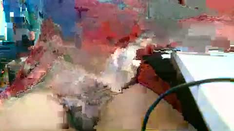 Rocco  aka DaddyRoc online show from March 2026 01:13:02 PM