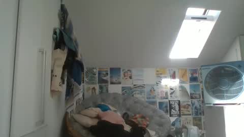 rodofra online show from March 2026 11:06:01 AM