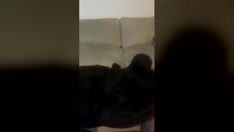 rogerbenid81 online show from April 2026 11:07:02 PM