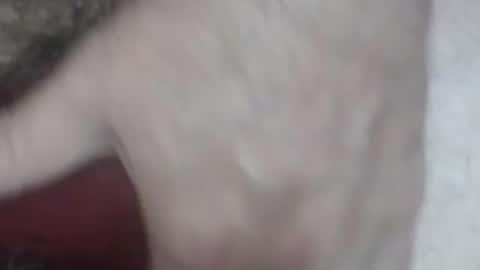 Snapshot of rokk_dude chatting on October 2025 02:28:01 AM rokk_dude online show from October 2025 02:28:01 AM