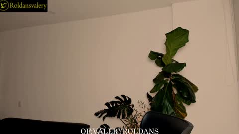 Snapshot of roldansvalery chatting on December 2024 01:16:02 AM Valery Roldans online show from December 2024 01:16:02 AM