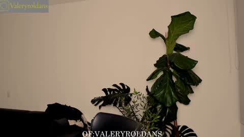 Snapshot of roldansvalery chatting on February 2025 03:44:01 AM Valery Roldans online show from February 2025 03:44:01 AM