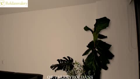 Snapshot of roldansvalery chatting on February 2025 02:51:02 AM Valery Roldans online show from February 2025 02:51:02 AM