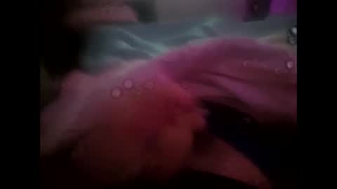 rollino83 online show from October 2025 10:06:02 PM