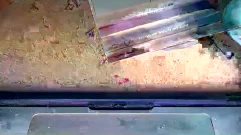 romeo9000x online show from January 2026 02:26:01 AM