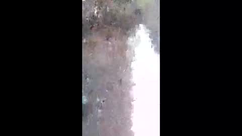 ronni_ga online show from May 2026 10:26:02 PM