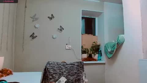 Snapshot of rosa843850 chatting on December 2024 04:39:02 PM rosa843850 online show from December 2024 04:39:02 PM