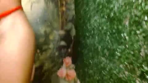 Snapshot of rosa_skinny chatting on April 2026 02:59:02 AM rosa online show from April 2026 02:59:02 AM