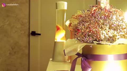 Rosalie online show from November 2025 01:33:02 AM