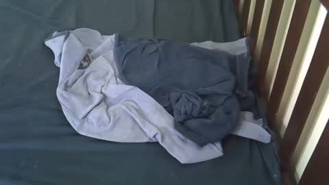 Rosey online show from April 2026 04:46:01 AM