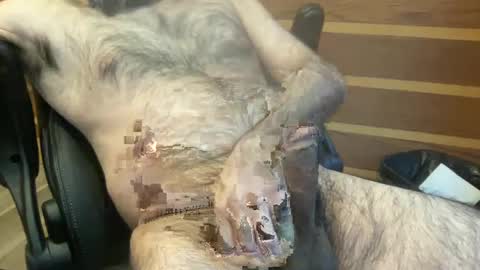 rotoball007 online show from January 2025 08:31:02 PM