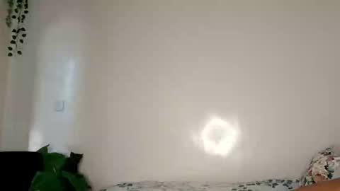 roundbootie online show from April 2026 11:08:02 AM