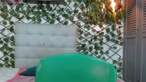 Rous online show from December 2024 02:58:01 AM