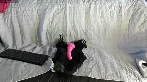 Snapshot of roxaneramirez chatting on May 2026 06:08:01 AM roxaneramirez online show from May 2026 06:08:01 AM