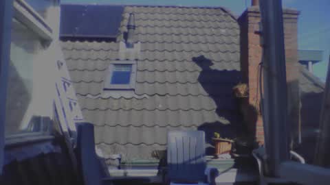 royalpapi12 online show from April 2026 01:41:01 PM