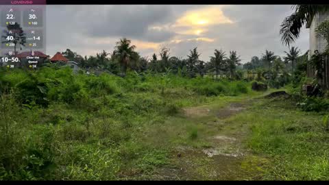 Paul online show from February 2025 07:25:02 PM