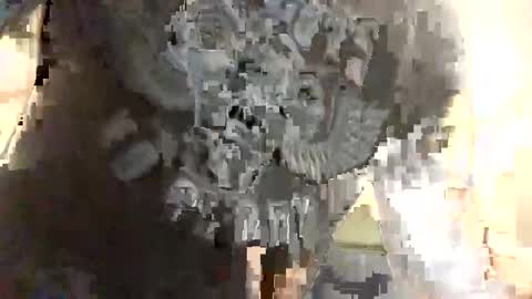 Ryland online show from January 2025 02:25:01 AM