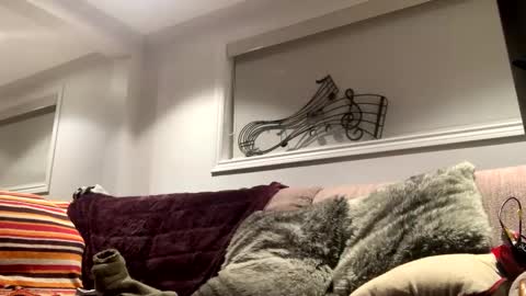 Ryland online show from February 2025 05:46:02 AM