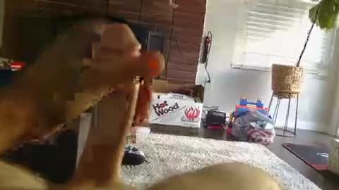 ryanbobby88 online show from September 2025 12:25:01 AM