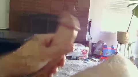 ryanbobby88 online show from October 2025 09:16:02 PM