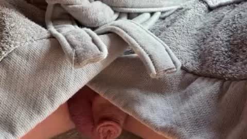 saconuts online show from February 2026 08:54:02 AM