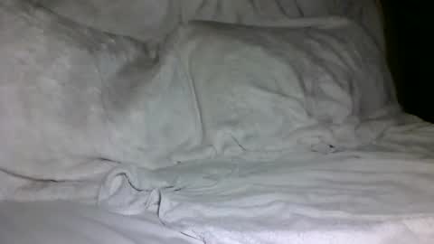 SD17 online show from February 2025 01:44:01 PM