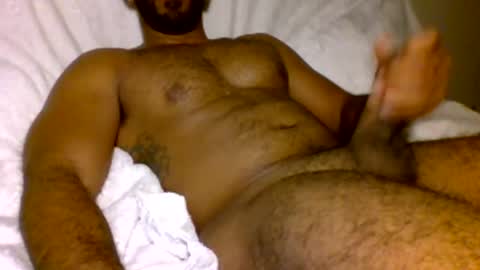 SD17 online show from February 2025 01:32:01 AM