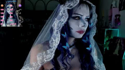    online show from March 2026 09:33:02 AM