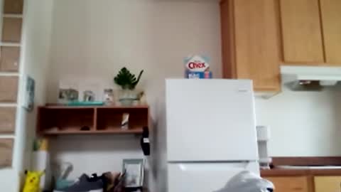 Snapshot of salis1981 chatting on February 2026 08:46:02 PM salis1981 online show from February 2026 08:46:02 PM