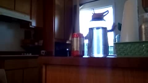 Snapshot of salis1981 chatting on February 2026 07:09:02 PM salis1981 online show from February 2026 07:09:02 PM