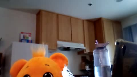 Snapshot of salis1981 chatting on February 2026 12:39:01 AM salis1981 online show from February 2026 12:39:01 AM