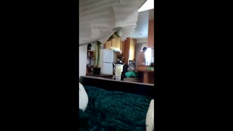 Snapshot of salis1981 chatting on March 2026 06:58:01 PM salis1981 online show from March 2026 06:58:01 PM