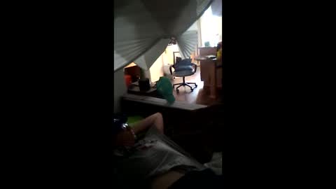 Snapshot of salis1981 chatting on March 2026 11:30:02 PM salis1981 online show from March 2026 11:30:02 PM