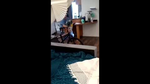 Snapshot of salis1981 chatting on April 2026 12:30:02 AM salis1981 online show from April 2026 12:30:02 AM