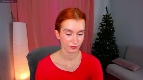 Snapshot of sallybiscuit chatting on December 2024 10:33:02 AM Sally  online show from December 2024 10:33:02 AM