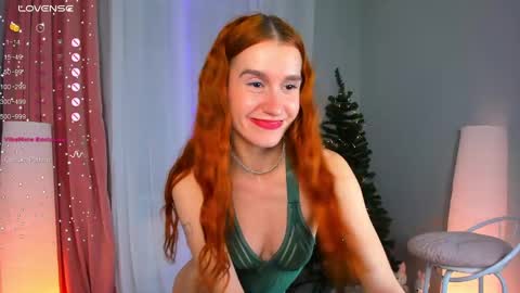 Snapshot of sallybiscuit chatting on December 2024 04:52:01 PM Sally  online show from December 2024 04:52:01 PM