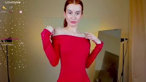 Snapshot of sallybiscuit chatting on January 2025 04:45:01 PM Sally  online show from January 2025 04:45:01 PM