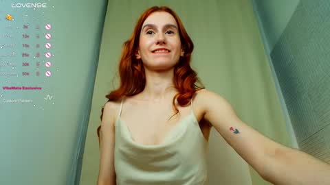 Snapshot of sallybiscuit chatting on February 2025 01:32:02 PM Sally  online show from February 2025 01:32:02 PM