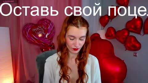 Snapshot of sallybiscuit chatting on February 2025 10:28:01 AM Sally  online show from February 2025 10:28:01 AM