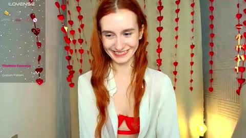 Snapshot of sallybiscuit chatting on February 2025 01:38:02 PM Sally  online show from February 2025 01:38:02 PM