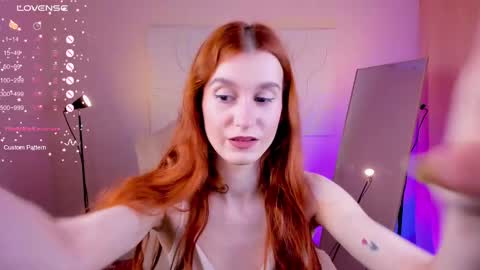 Snapshot of sallybiscuit chatting on February 2025 10:27:02 AM Sally  online show from February 2025 10:27:02 AM