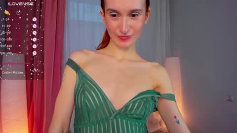 Snapshot of sallybiscuit chatting on February 2025 01:33:01 PM Sally  online show from February 2025 01:33:01 PM