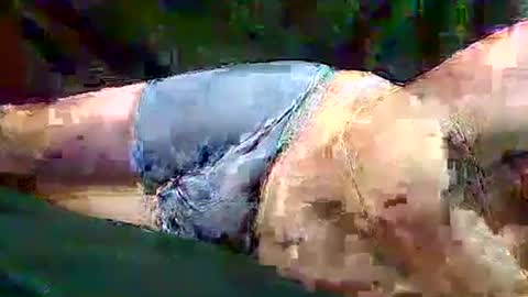 sam5554401727 online show from November 2025 06:40:02 PM