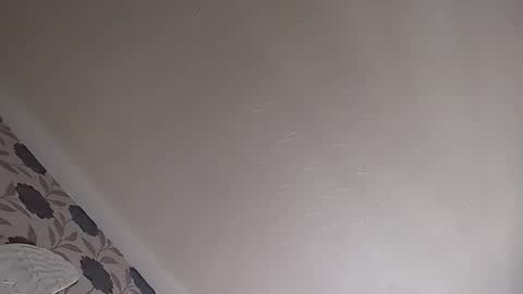 sexy lad looking for fun online show from September 2025 08:05:01 AM