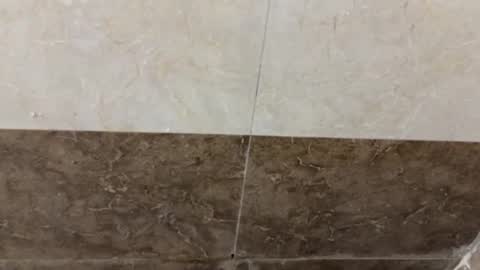 Snapshot of samnivin chatting on November 2025 05:04:02 PM samnivin online show from November 2025 05:04:02 PM