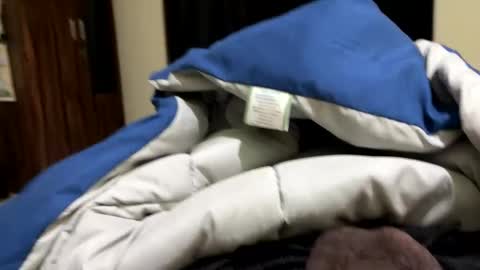 samnivin online show from December 2025 07:19:02 PM