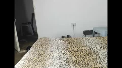 Snapshot of samsondauda chatting on February 2025 10:39:01 AM samson dauda online show from February 2025 10:39:01 AM